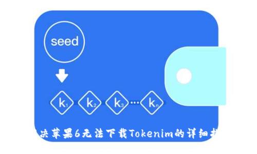解决苹果6无法下载Tokenim的详细指南