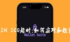 TokenIM ICO超时：如何应对和