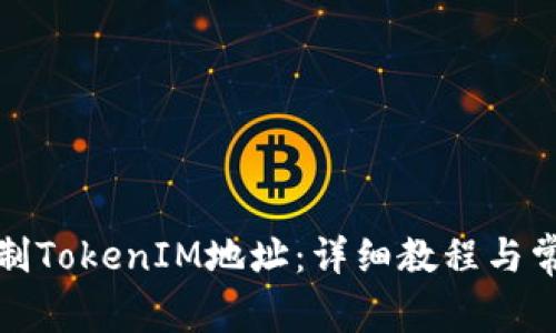 如何正确复制TokenIM地址：详细教程与常见问题解答