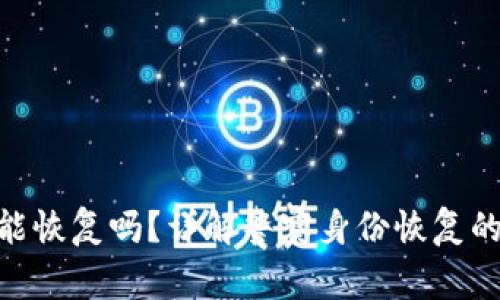 Tokenim警察能恢复吗？详解警察身份恢复的可能性与方法