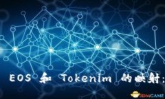 如何进行 EOS 和 Tokenim 的映射：详细指南