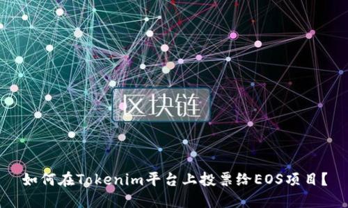 如何在Tokenim平台上投票给EOS项目？