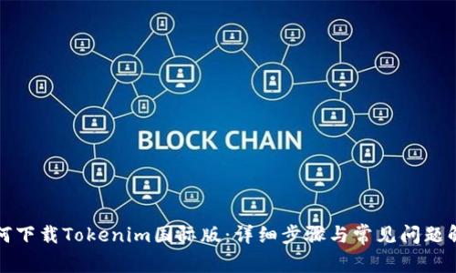 如何下载Tokenim国际版：详细步骤与常见问题解答