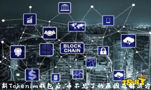 
更新Tokenim钱包后，币不见了的原因及解决方案