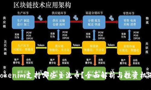 Tokenim支持哪些主流币？全面解析与投资机遇