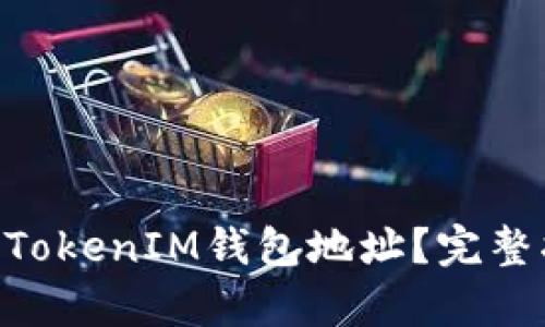 如何使用TokenTokenIM钱包地址？完整指南与样本解析