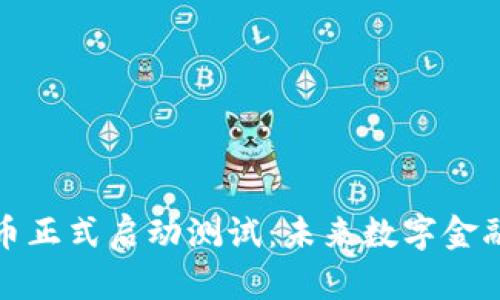 湖南数字货币正式启动测试：未来数字金融的前沿之路