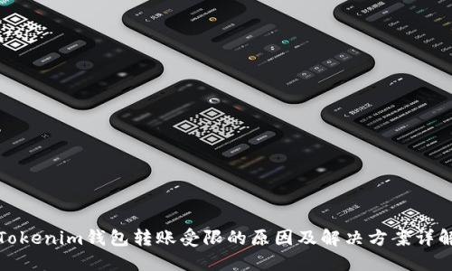 Tokenim钱包转账受限的原因及解决方案详解
