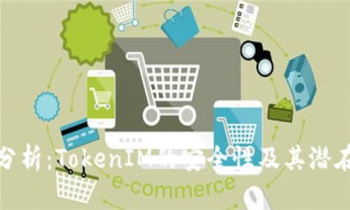 深入分析：TokenIM的安全性及其潜在风险