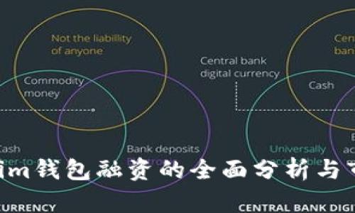 Tokentokenim钱包融资的全面分析与市场前景展望
