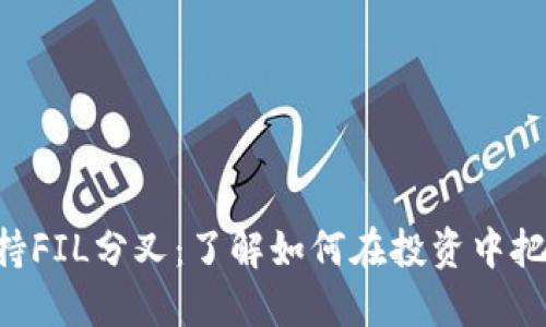 Tokenim支持FIL分叉：了解如何在投资中把握这一机遇