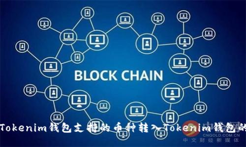 如何将非Tokenim钱包支持的币种转入Tokenim钱包的详细指南