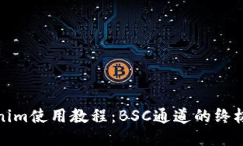 Tokenim使用教程：BSC通道的终极指南