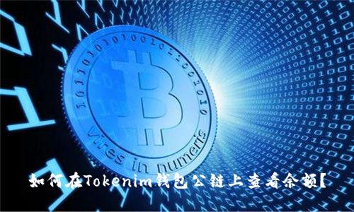 如何在Tokenim钱包公链上查看余额？