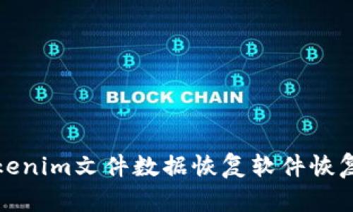 如何使用Tokenim文件数据恢复软件恢复丢失的文件