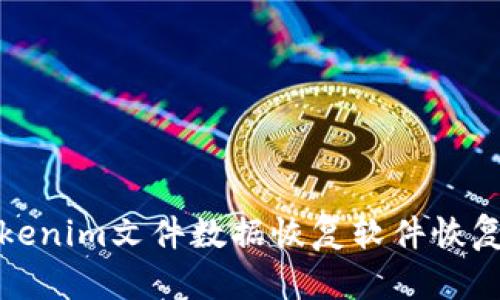 如何使用Tokenim文件数据恢复软件恢复丢失的文件