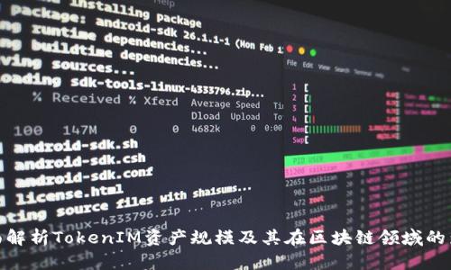 全面解析TokenIM资产规模及其在区块链领域的影响