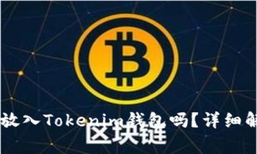 SHIB代币可以放入Tokenim钱包吗？详细解答与常见问题