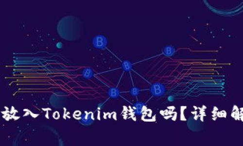 SHIB代币可以放入Tokenim钱包吗？详细解答与常见问题