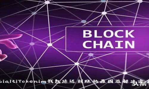 bialtiTokenim钱包延迟到账的原因及解决方案