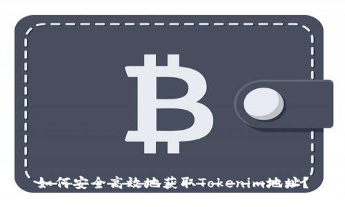如何安全高效地获取Tokenim地址？