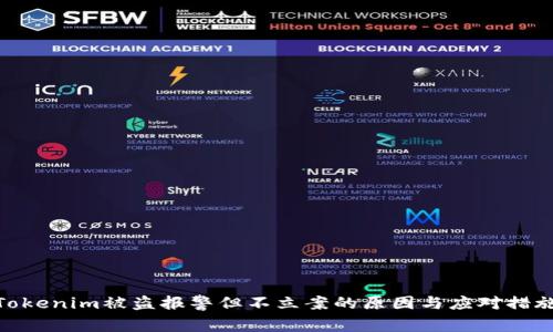 Tokenim被盗报警但不立案的原因与应对措施