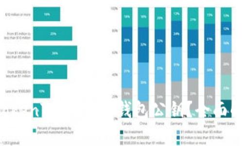 什么是 TokenTokenim 钱包公钥？全面解析与应用