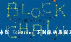 交易所提币到 Tokenim 不到