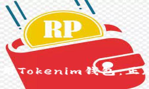 如何下载和使用Tokenim钱包：正版app下载指南