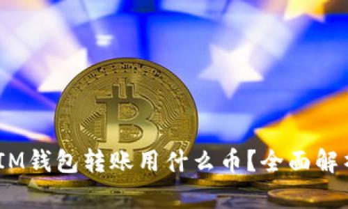 TokenTokenIM钱包转账用什么币？全面解析与使用指南