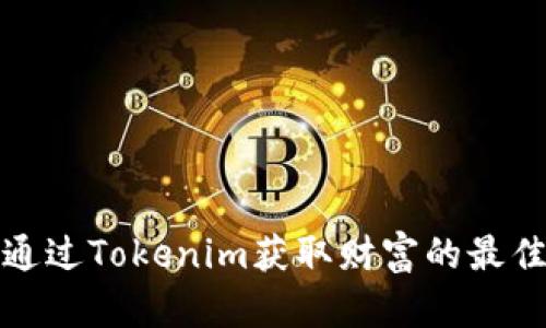 如何通过Tokenim获取财富的最佳策略