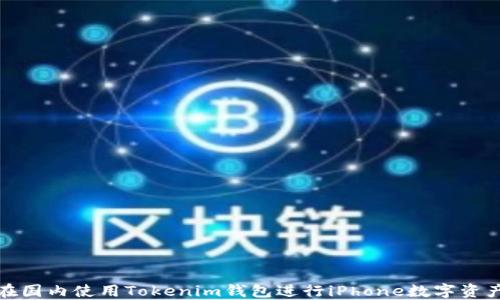 
如何在国内使用Tokenim钱包进行iPhone数字资产管理