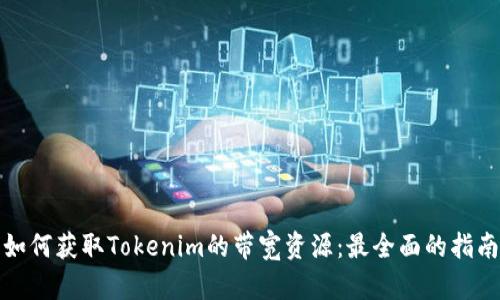 如何获取Tokenim的带宽资源：最全面的指南