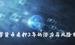 数字货币质押3年的潜力与风险分析