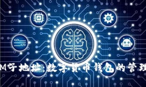 TokenIM子地址：数字货币钱包的管理与安全