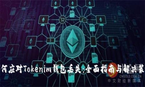 如何应对Tokenim钱包丢失：全面指南与解决策略