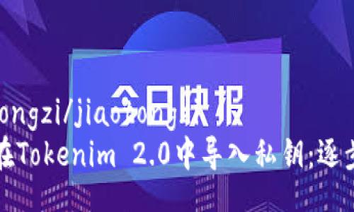 jiaotongzi/jiaotongzi
如何在Tokenim 2.0中导入私钥：逐步指南