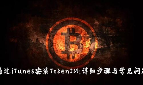 如何通过iTunes安装TokenIM：详细步骤与常见问题解析