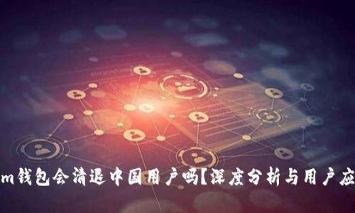 Tokenim钱包会清退中国用户吗？深度分析与用户应对策略