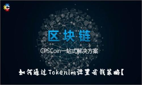 如何通过Tokenim设置省钱策略？