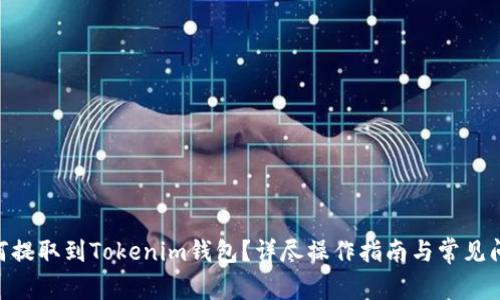 BTG如何提取到Tokenim钱包？详尽操作指南与常见问题解答
