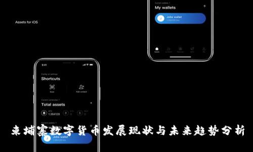 柬埔寨数字货币发展现状与未来趋势分析