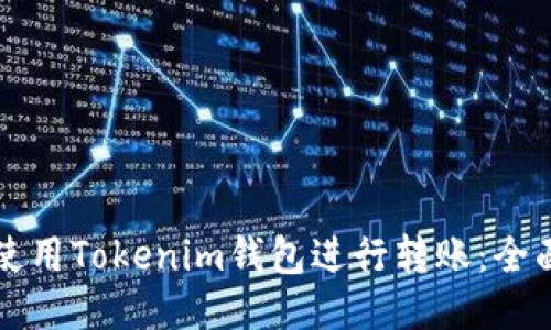 如何使用Tokenim钱包进行转账：全面指南