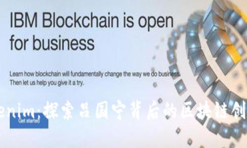 理解Tokenim：探索吕国宁背后的区块链创新与应用