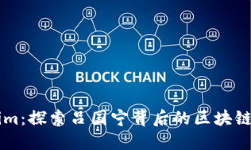 理解Tokenim：探索吕国宁背后的区块链创新与应用