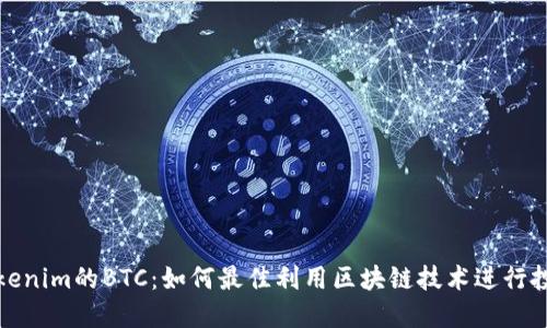 Tokenim的BTC：如何最佳利用区块链技术进行投资