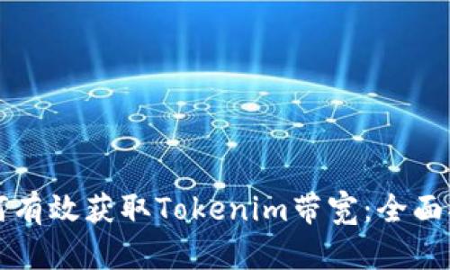 如何有效获取Tokenim带宽：全面指南