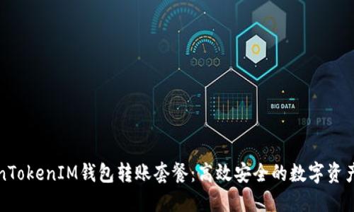 深入了解TokenTokenIM钱包转账套餐：高效安全的数字资产转移解决方案