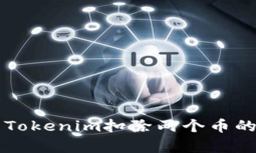 解析Tokenim扣除两个币的原因